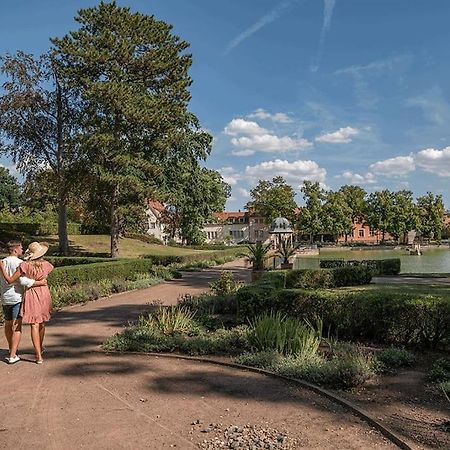 Traumhafte Auszeit Apartment Bad Lauchstadt ภายนอก รูปภาพ